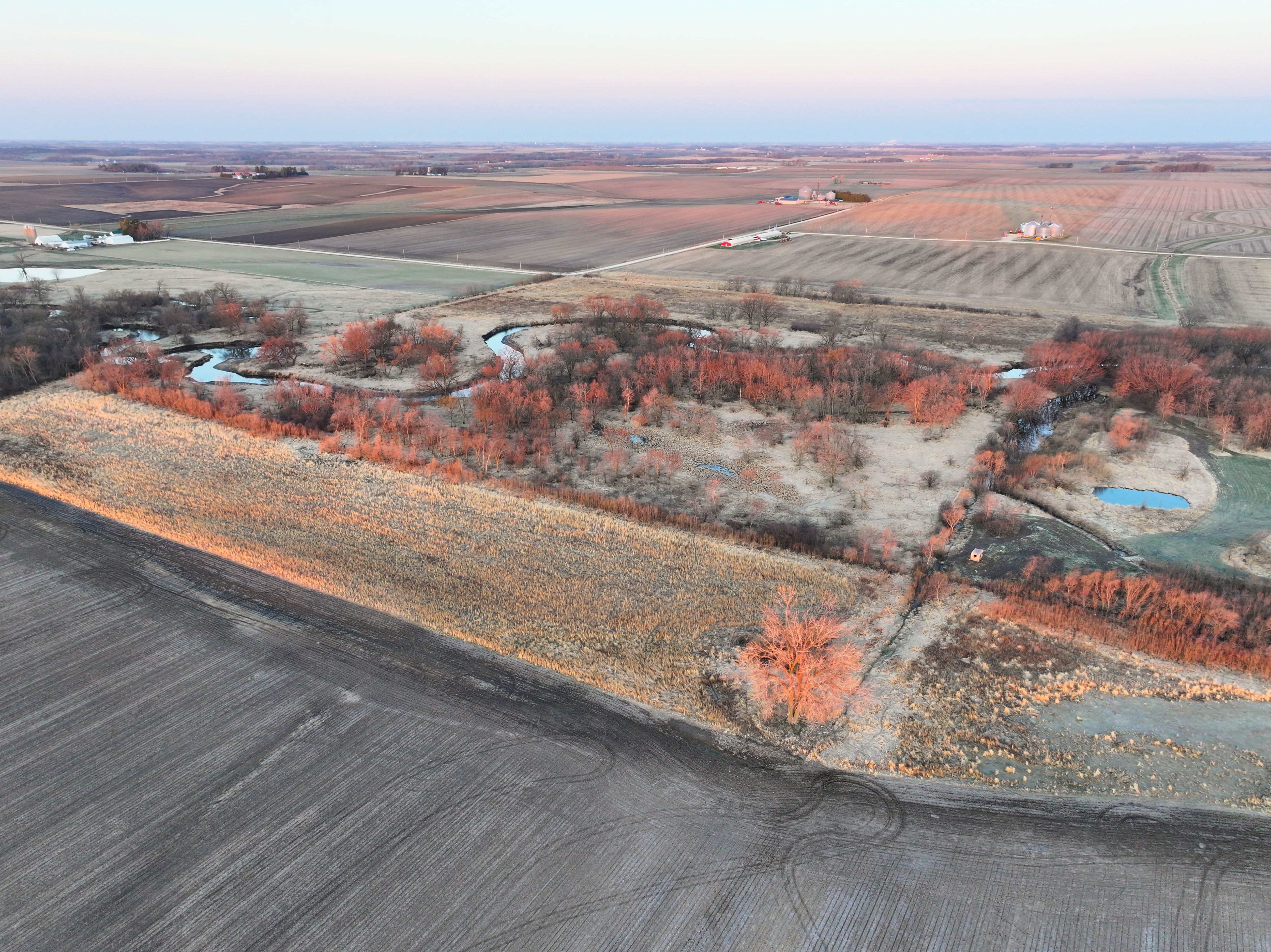 Listing Photo: 15_Charles City CRP Farm For Sale
